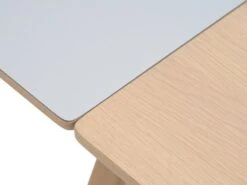 Table EGEBJERG 160/250 Gris Clair -Royal Oak || Basic Soldes Boutique 185691