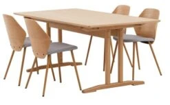 AALBORG L180/270 + 4 HORNE ChĂȘne/gris