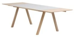 Table EGEBJERG 160/250 Gris Clair